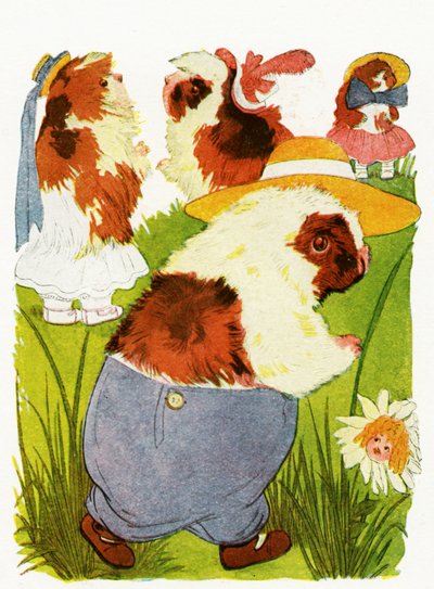Merry Guinea Pigs, 1913 by Martin Ross